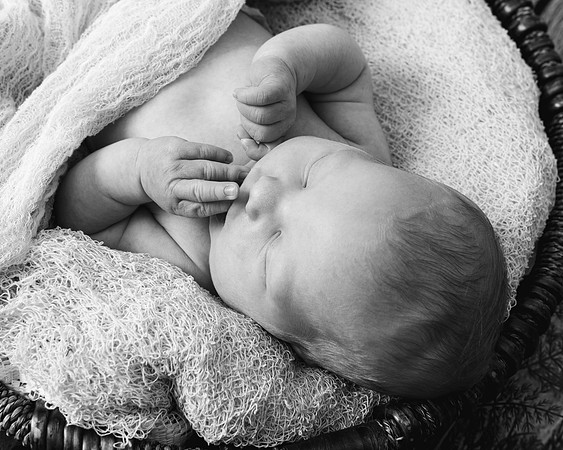 CRP_7047 bw