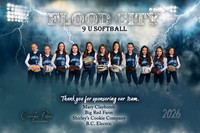 Banner Sheppard 9U