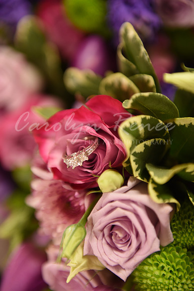 Kwiek (18)