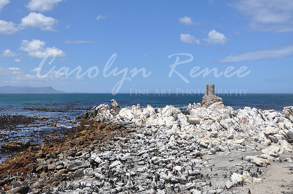 B (140)