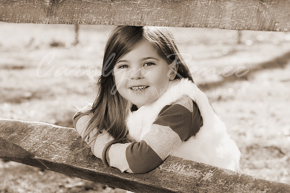 DSC_8735 Sepia