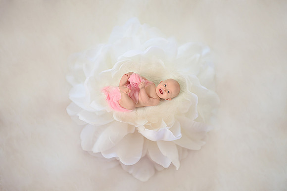 Flower pic