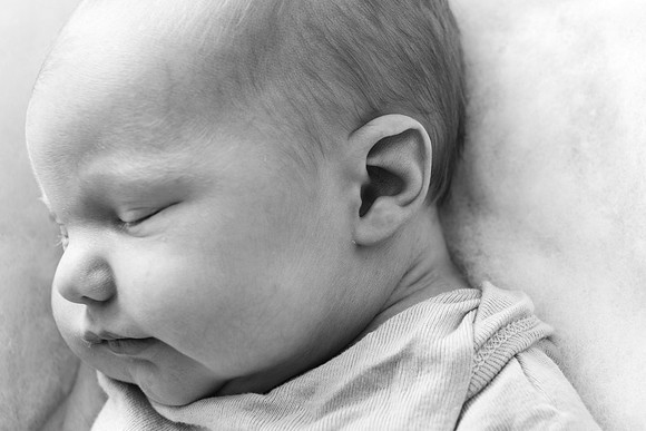 CRP_7029 bw