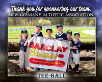 Tee ball Trevin