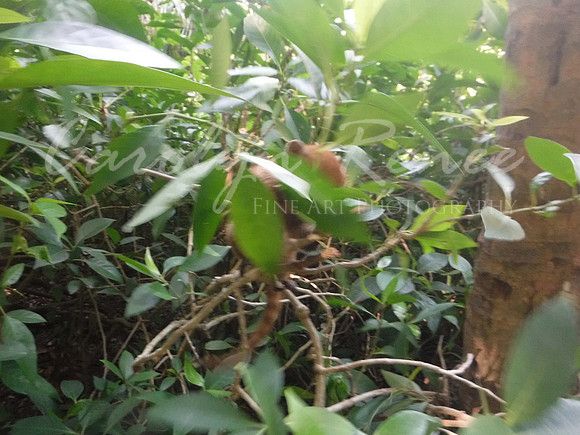 DSCF6193