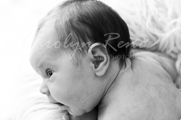 DSC_4646 BW