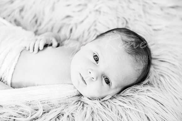 DSC_4693 BW