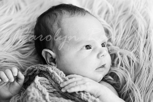 DSC_4698 Bw
