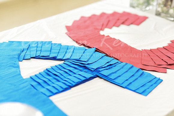 CDSC_9561 (8)