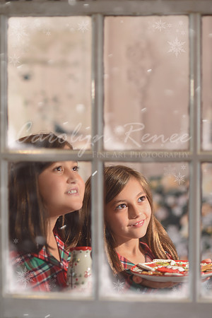 Window Frost good