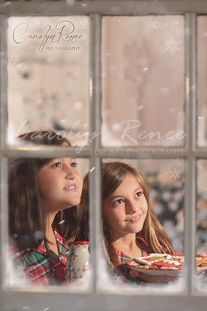 Window Frost