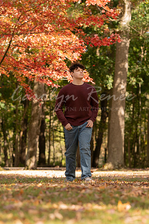 CRP_0310