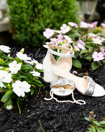 Balban Wedding  (11)