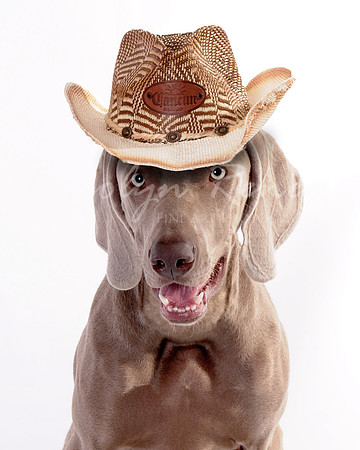 DSC_4167 hat