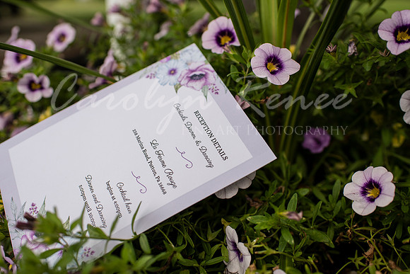 Balban Wedding  (8)