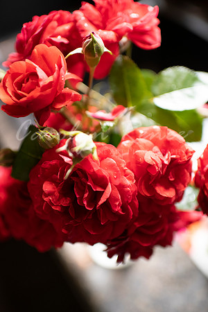Balban Wedding  (23)