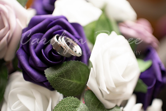 Balban Wedding  (6)